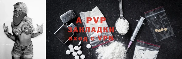 spice Краснослободск