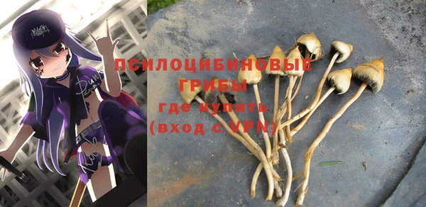 spice Краснослободск