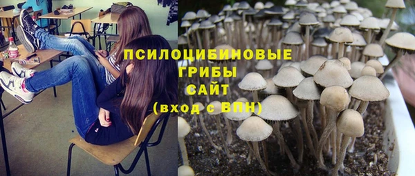 гашик Киров