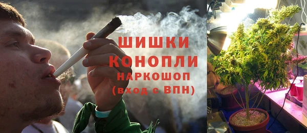 spice Краснослободск