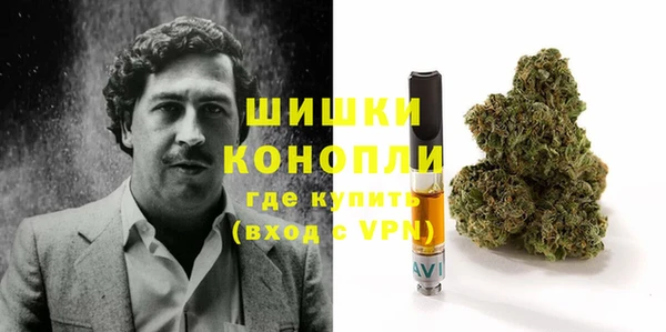 spice Краснослободск