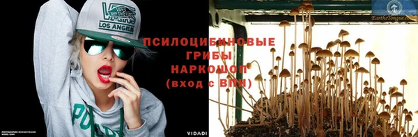 COCAINE Краснотурьинск